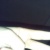 filip 