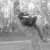 Filip