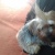 Tyna