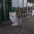 Jakub