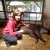 Iveta