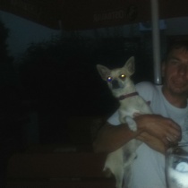 Petr