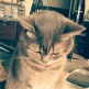 nick