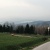 Nikča
