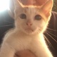 nick