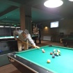 Andrei