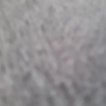 Mišo