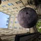 Martin