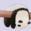 Xinsheng